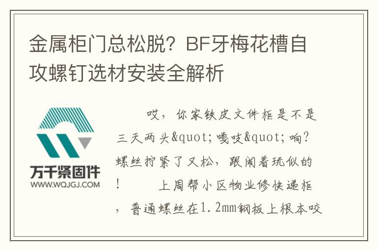 金屬柜門總松脫?BF牙梅花槽自攻螺釘選材安裝全解析