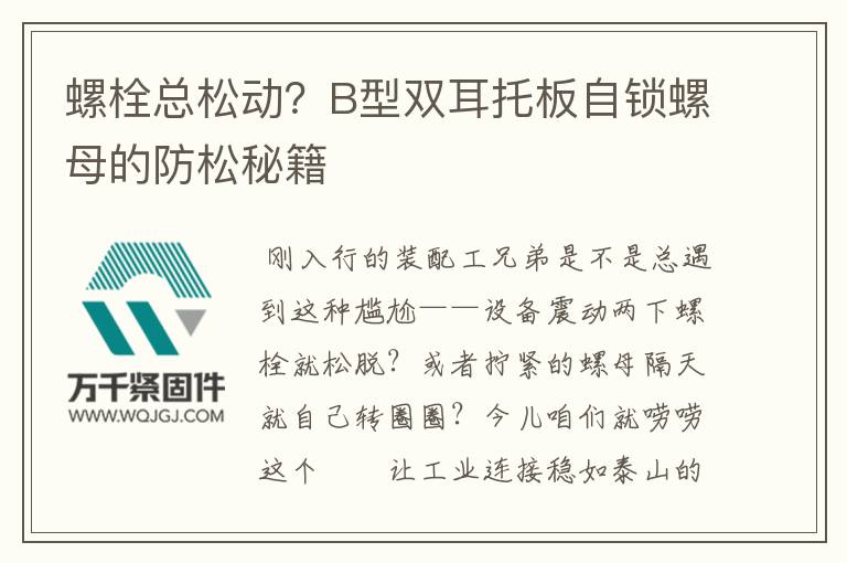 螺栓總松動？B型雙耳托板自鎖螺母的防松秘籍