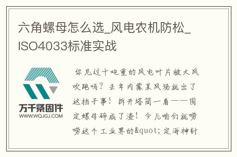 六角螺母怎么選_風電農機防松_ISO4033標準實戰