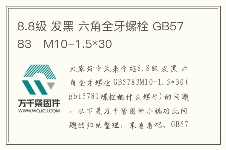 8.8級 發黑 六角全牙螺栓 GB5783	M10-1.5*30